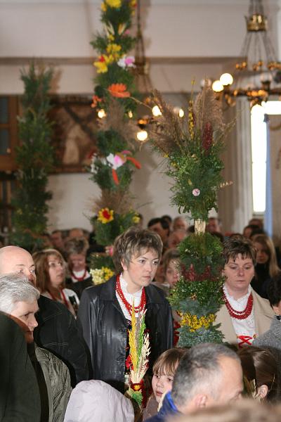 IMG_1095.JPG