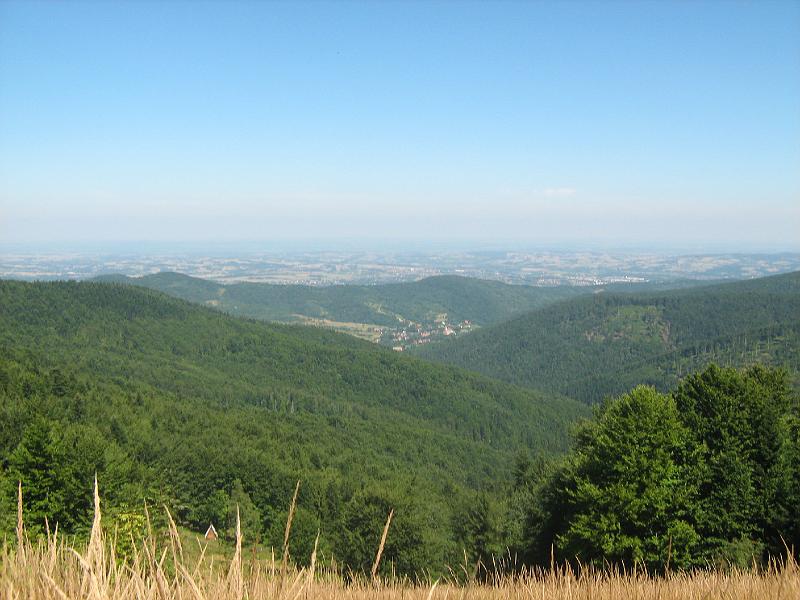 IMG_3973.JPG