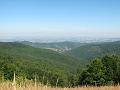 IMG_3973
